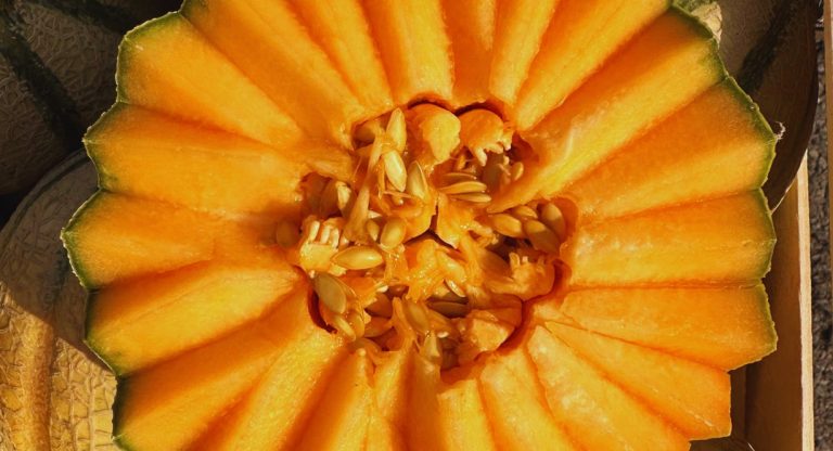 Melon charentais coupé en deux avec ses graines et sa chair orange